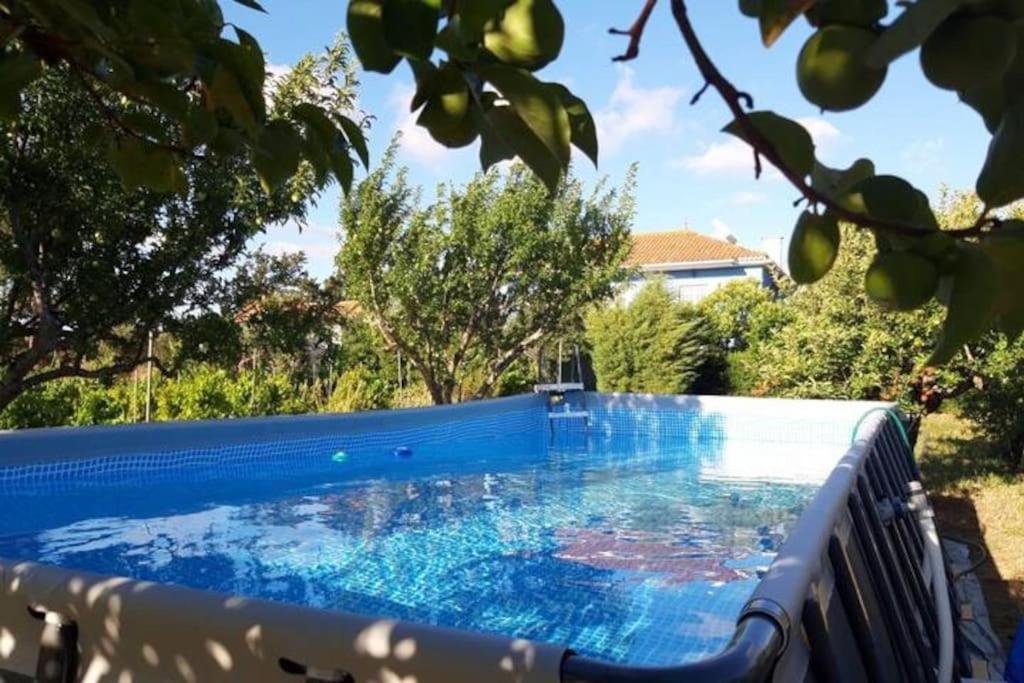 Casa Azul Tomar privé vakantiehuis + zwembad Extérieur photo