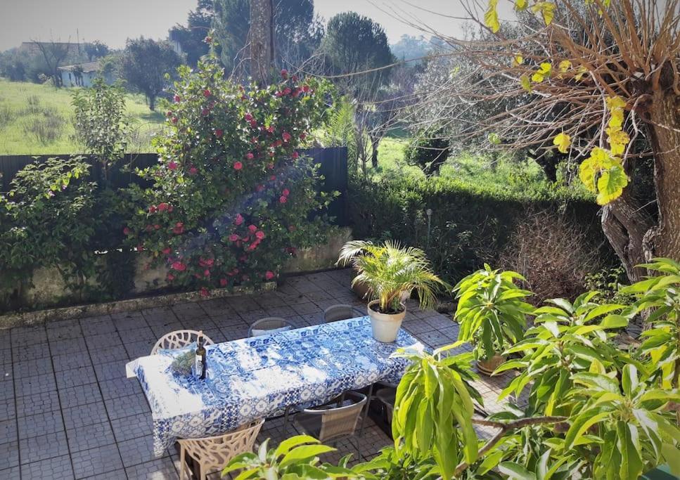 Casa Azul Tomar privé vakantiehuis + zwembad Extérieur photo
